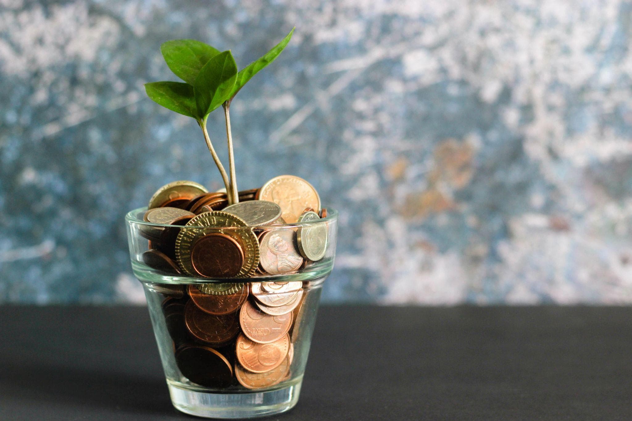 What is a Venture Capitalist?